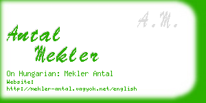 antal mekler business card
